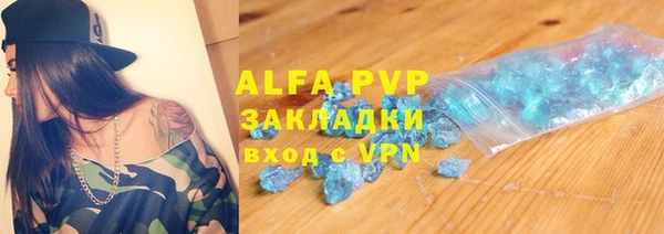 спиды Вяземский