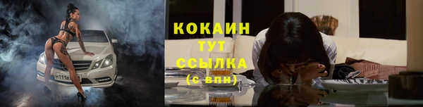 спиды Вяземский