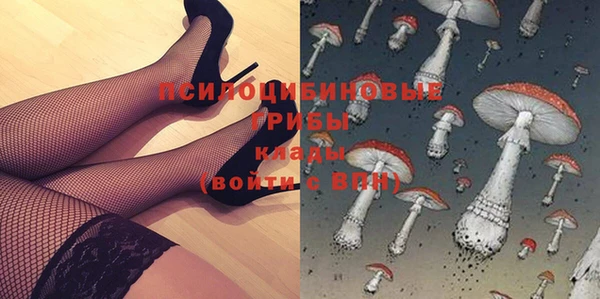 спиды Вяземский