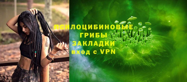 соль ск Сосновка
