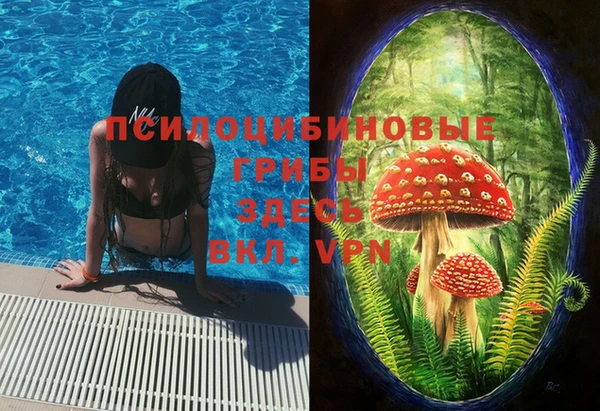 спиды Вяземский