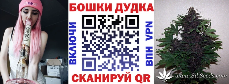 где продают   Далматово  Бошки Шишки THC 21% 